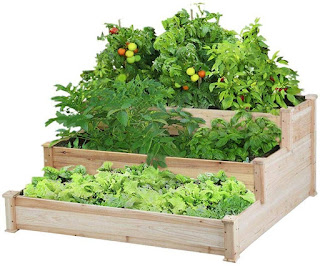 Must Have Gardening Beds For Every Budget - Being Ecomomical 