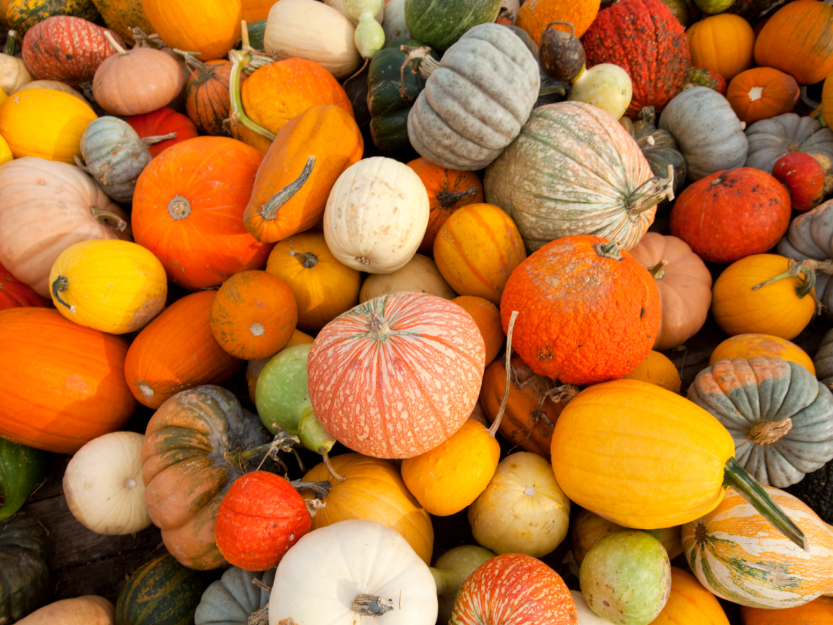 75 Stunning Fall Wallpaper Backgrounds for Your&nbsp;Phone