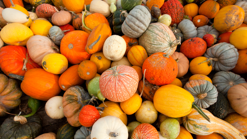 fall background