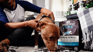 Best Dog Food For Digestive&nbsp;Health
