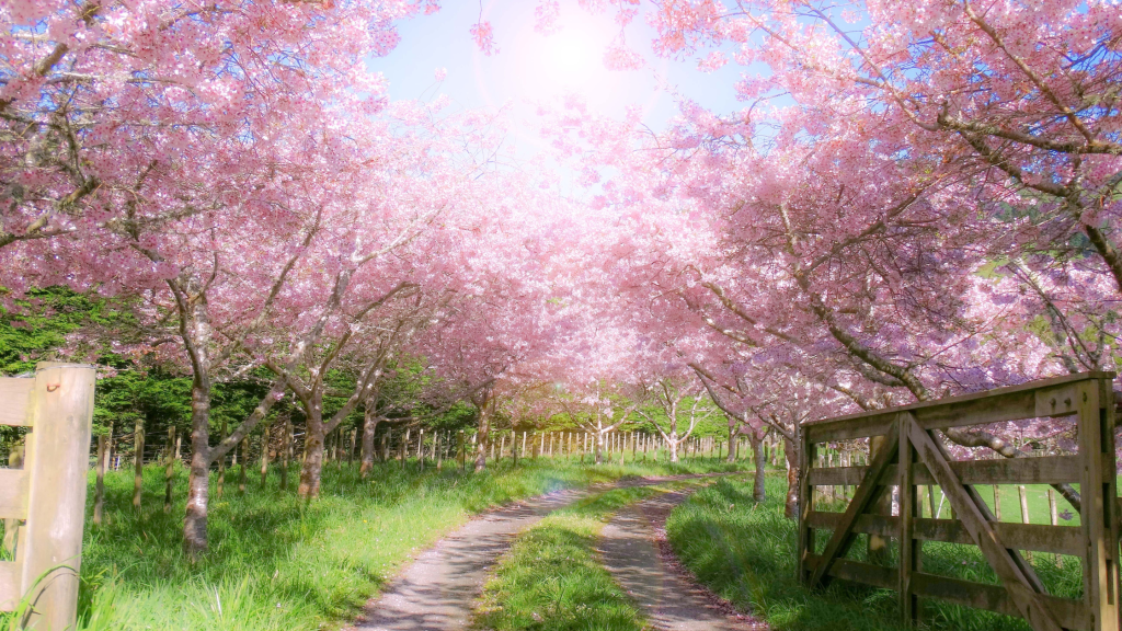 100 Cute And Inspiring Spring Instagram&nbsp;Captions