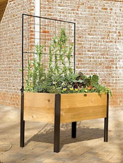 Must Have Gardening Beds For Every Budget - Being Ecomomical 