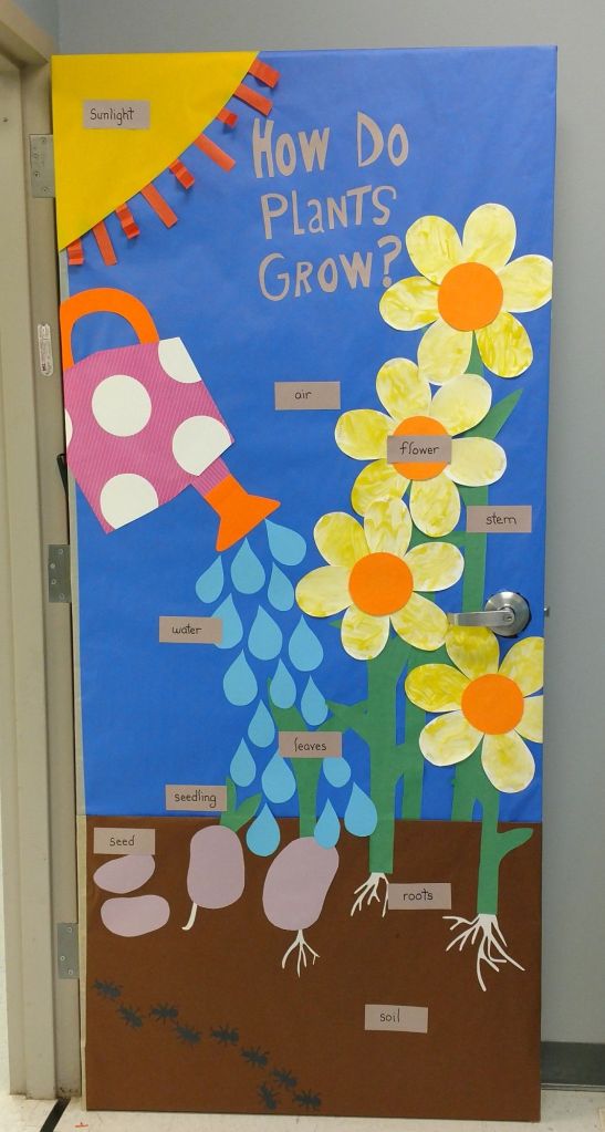 Spring learning-themed classroom door displaying the life cycle of a plant with labeled parts.