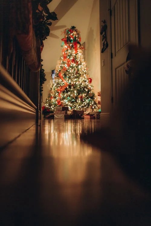 Christmas iPhone wallpaper
Festive phone background
Holiday-themed wallpaper for iPhone
Christmas lock screen background
Winter wallpaper for mobile devices
Free Christmas wallpaper for iPhone
Minimalist holiday wallpaper
Cute Christmas phone wallpaper
Elegant Christmas background for iPhone
Cozy holiday wallpaper for mobile