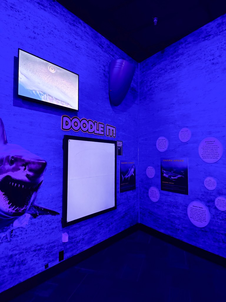 An interactive exhibit featuring a blue-themed wall with a shark illustration, a blank doodle board, and educational panels about sharks.