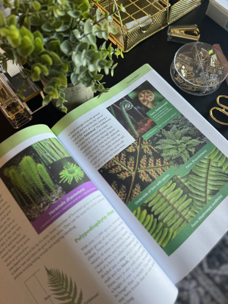 An open textbook displaying images and descriptions of various ferns, including detailed illustrations and information on their characteristics within a study setting.