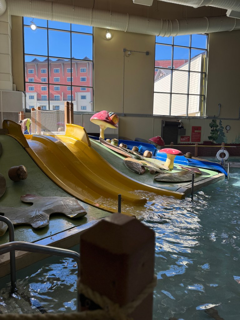 Indoor water park area at Great Wolf Lodge featuring colorful water slides and interactive play structures, with natural light streaming through large windows.