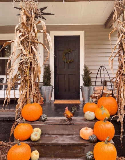 A cozy porch decorated for fall, featuring a black door framed by cornstalks and surrounded by a variety of pumpkins. A playful rooster stands on the steps, enhancing the warm autumn atmosphere.