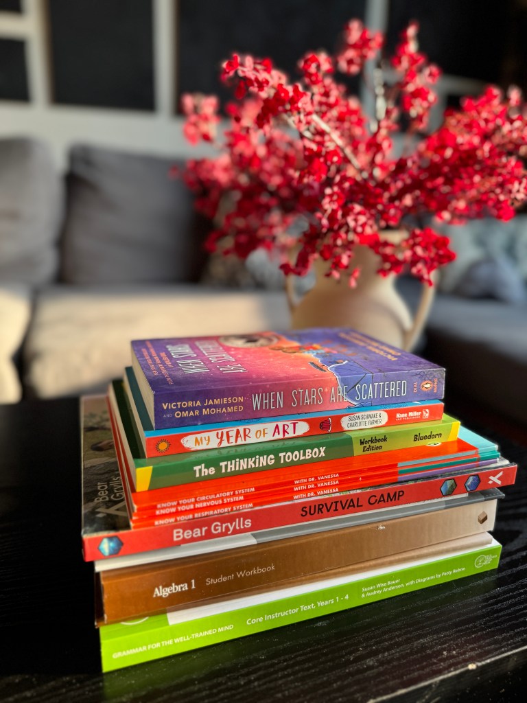 curriculum for homeschool | best homeschool curriculum | math curriculum | homeschool math curriculum | science homeschool curriculum | history curriculum homeschool  | middle school homeschool curriculum |  where to buy homeschool curriculum | all in one curriculum | curriculum | homeschooling 