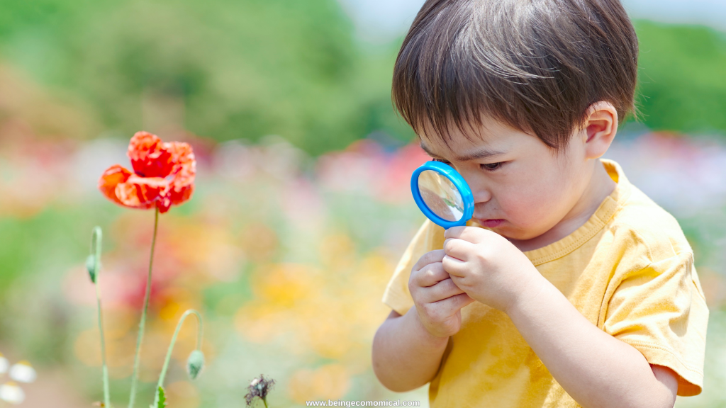 Four-year-old exploring a flower outdoors with a magnifying glass during a nature learning activity.