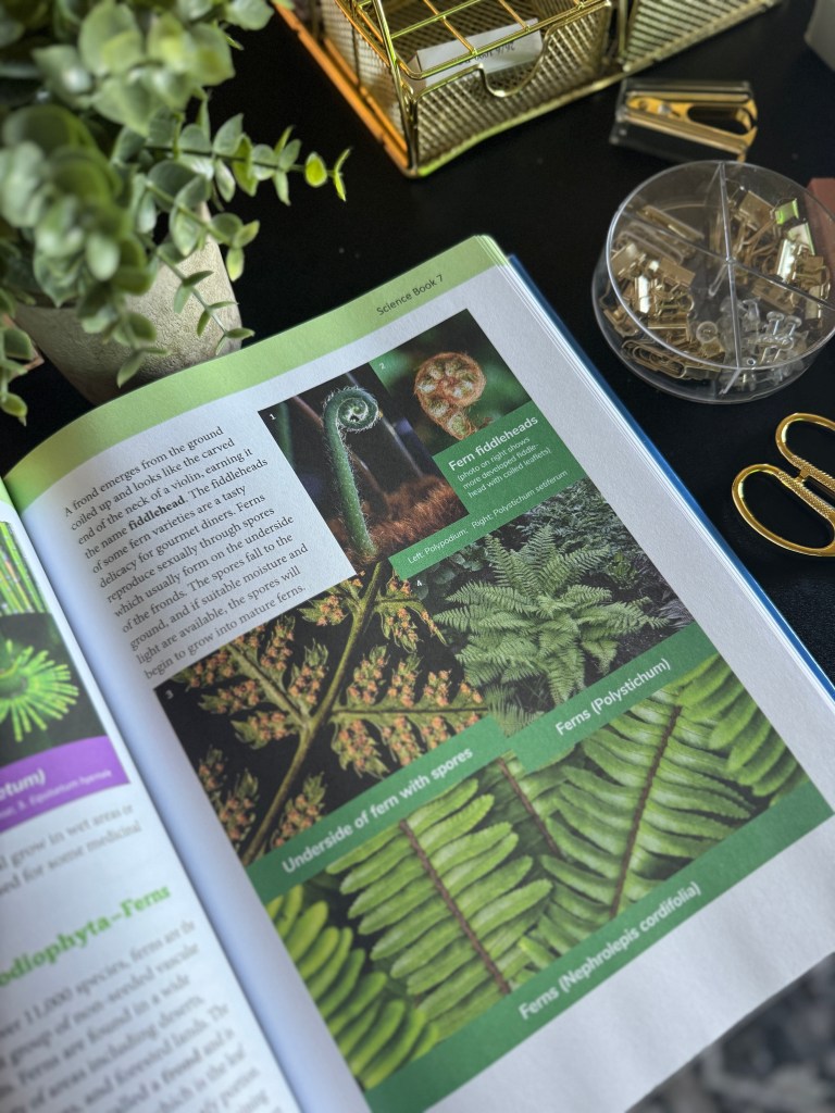 A page from a science textbook showing various types of ferns, including fern fiddleheads and images depicting the underside of ferns with spores.