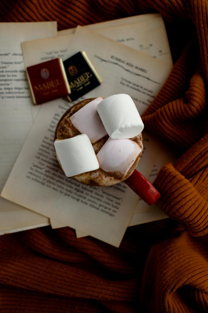 A cozy cup of hot chocolate topped with marshmallows, placed on a stack of open books, with a warm brown blanket in the background.