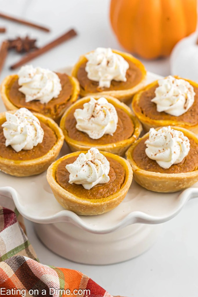 Mini pumpkin cheesecakes with whipped cream topping – perfect Thanksgiving dessert.