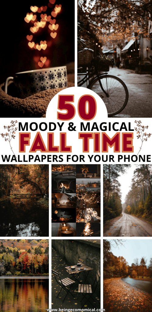 A collage of cozy fall-themed images featuring warm colors, autumn leaves, and seasonal decorations, alongside the text overlay '50 Moody & Magical Fall Time Wallpapers for Your Phone'.