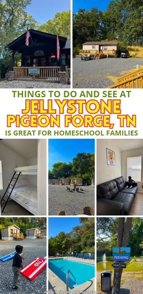 Pinterest pin featuring Jellystone Park Pigeon Forge with Yogi Bear, the fishing pond, Ranger Station, jump pad, and homeschool-friendly family activities