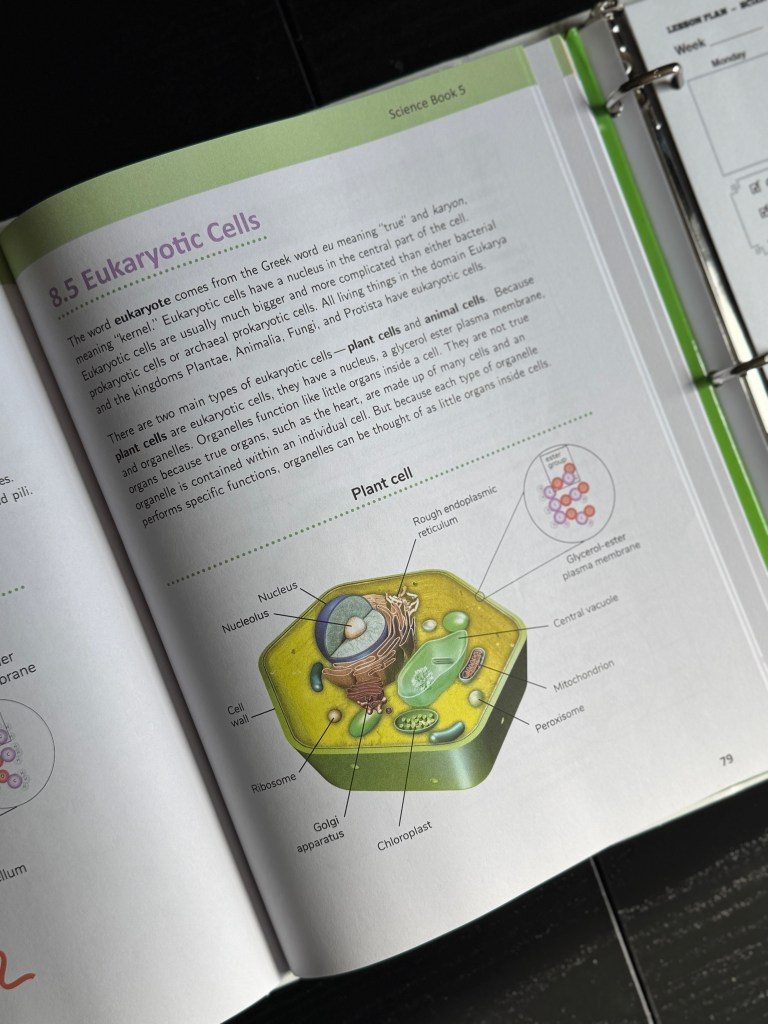 An educational page from the Real Science-4-Kids Book 5, focusing on 'Eukaryotic Cells,' featuring an illustration of a plant cell with labeled organelles like the nucleus, chloroplast, and mitochondrion.
