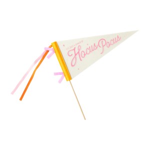A triangular pennant flag reading 'Hocus Pocus' in pink letters, adorned with colorful ribbons.