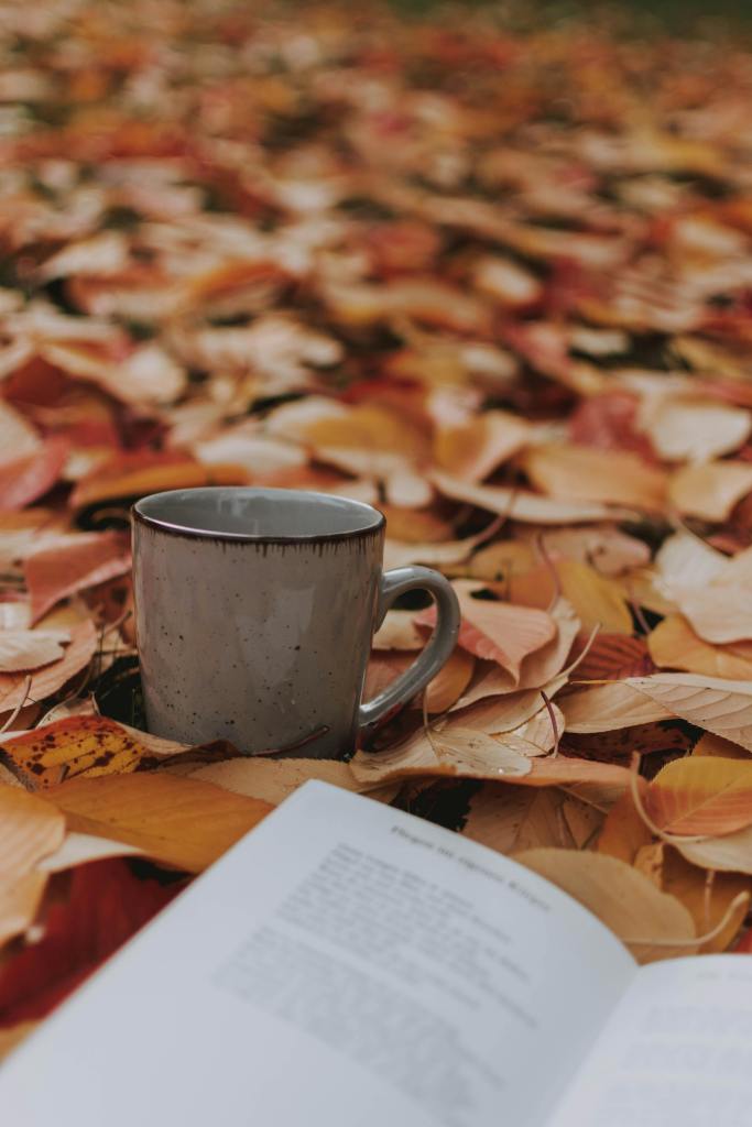 A gray mug sits on a carpet of colorful autumn leaves, with a partially visible book in the foreground.