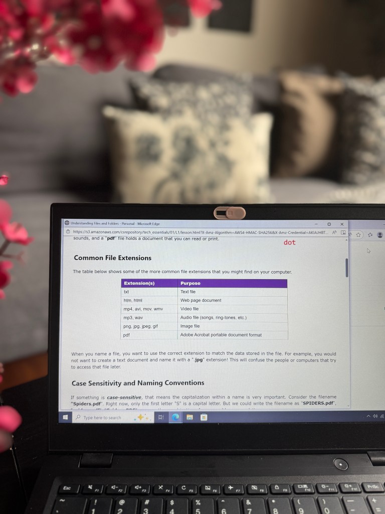 A close-up view of a laptop screen displaying a table of common file extensions and their purposes, with blurred soft furnishings in the background. Pink flowers are partially visible in the foreground.