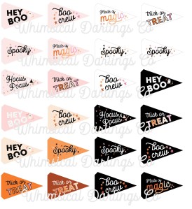 A collection of decorative pennant flags featuring playful Halloween phrases like 'Hey Boo,' 'Boo Crew,' and 'Trick or Treat' in various colors and styles, perfect for festive celebrations.