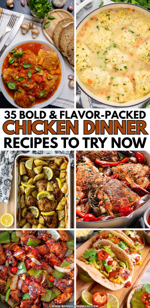A collage of six delicious chicken dinner dishes, showcasing bold colors and flavors. The top left features a chicken stew with vegetables, the top right displays a creamy chicken and dumpling dish. The bottom left shows roasted chicken with potatoes and lemon, the bottom right features grilled chicken with peppers and colorful toppings in tacos, emphasizing a variety of easy and flavorful chicken dinner recipes.