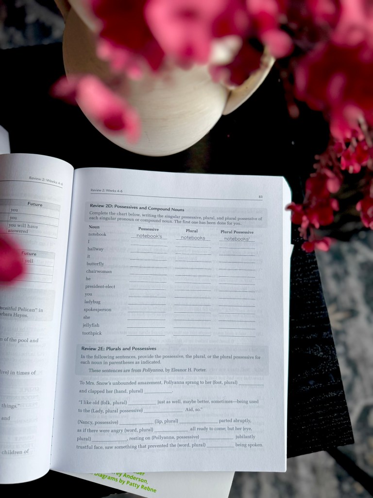 A close-up of an open textbook page displaying exercises on possessives and plural nouns, with a floral arrangement in the background.