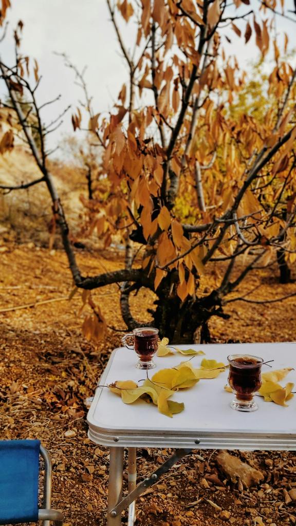A cozy outdoor scene featuring a table with two glasses of tea surrounded by fallen yellow leaves, under a tree with autumn foliage.