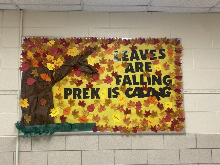 Pre-K fall bulletin board featuring a large autumn tree and colorful student name leaves with Leaves Are Falling, Pre-K Is Calling lettering.