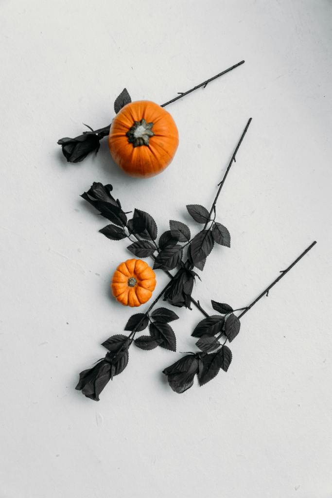 “Spooky and stylish Halloween wallpaper background for iPhone lock screen”

“Cute Halloween phone wallpaper with pumpkins and ghosts”

“Dark and moody Halloween aesthetic wallpaper for mobile screen”

“Festive Halloween phone background featuring haunted house design”

“Minimalist Halloween wallpaper with bats and crescent moon”

“Fun and creepy Halloween lock screen wallpaper for Android and iPhone”

“Chic Halloween aesthetic wallpaper background with witchy vibe”

“Pumpkin and ghost Halloween phone background for October”

“Magical Halloween phone wallpaper with gothic details”

“Trendy Halloween wallpaper design for iPhone and Android screens”