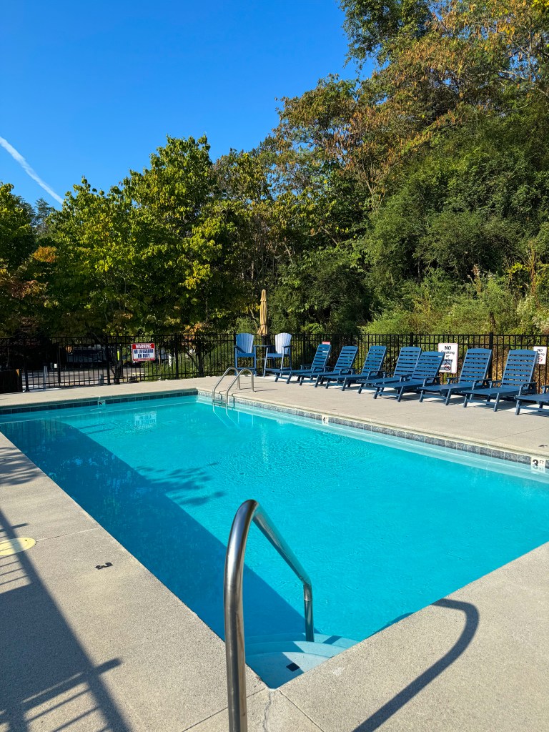 Outdoor swimming pool surrounded by trees at Jellystone Park Pigeon Forge