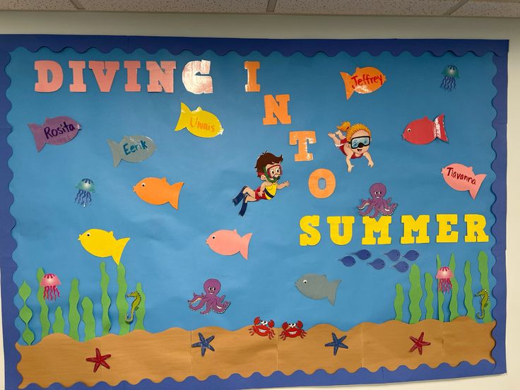 diving into summer bulletin board under the sea classroom fish theme