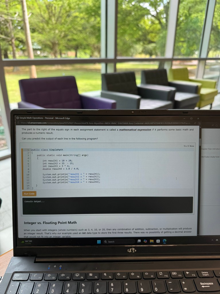 Java programming exercise showing user input and output results