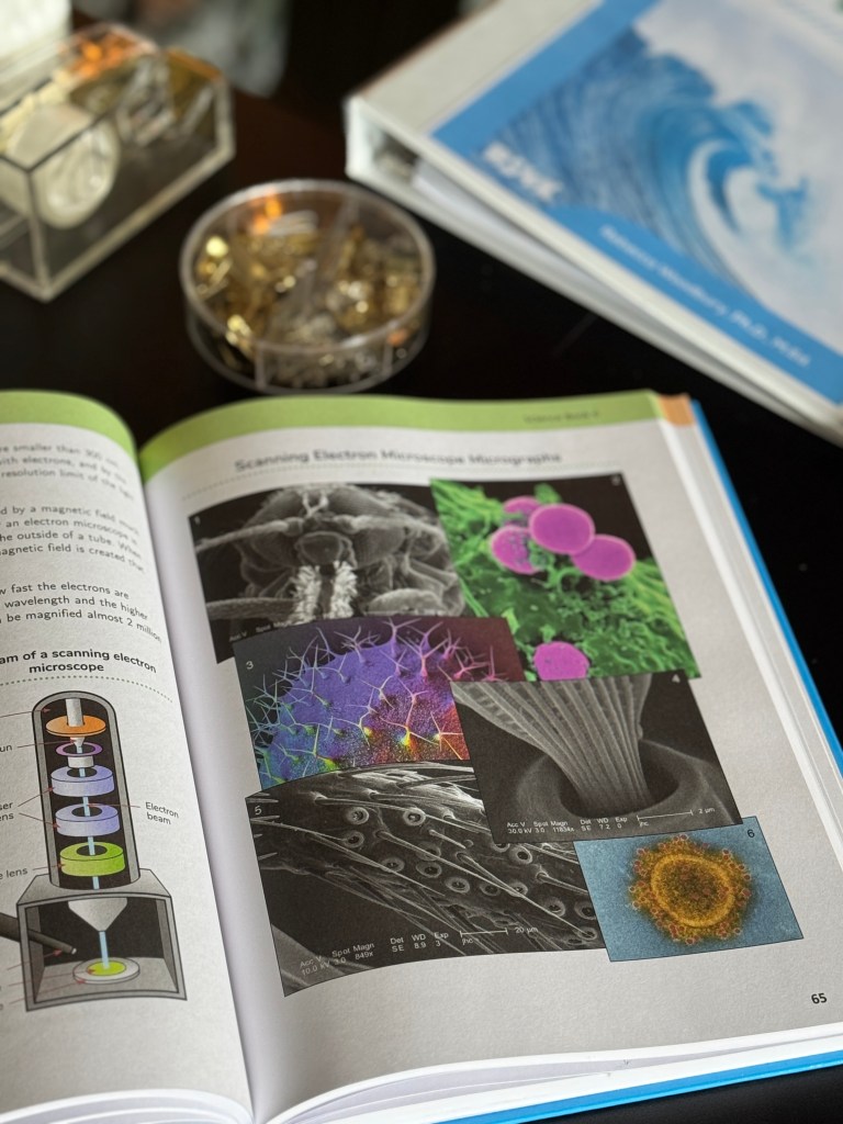An open science textbook displaying illustrations of scanning electron microscope images with vibrant colors and details, sitting on a table next to a container of pins and other small items.
