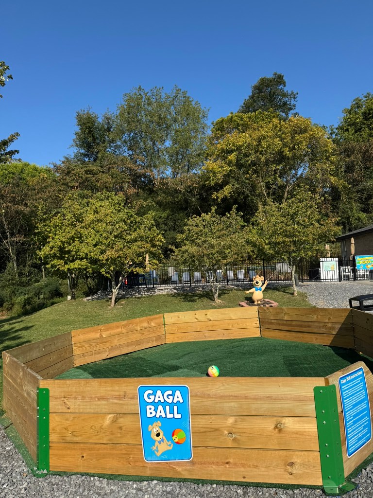 Gaga Ball court at Jellystone Park Pigeon Forge