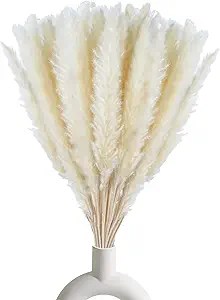 A bouquet of decorative pampas grass in a modern white vase, adding a touch of elegance to home decor.