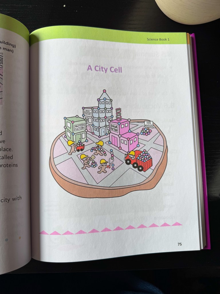 Real Science-4-Kids chemistry page showing gasoline and watercolor paint as everyday chemistry examples.