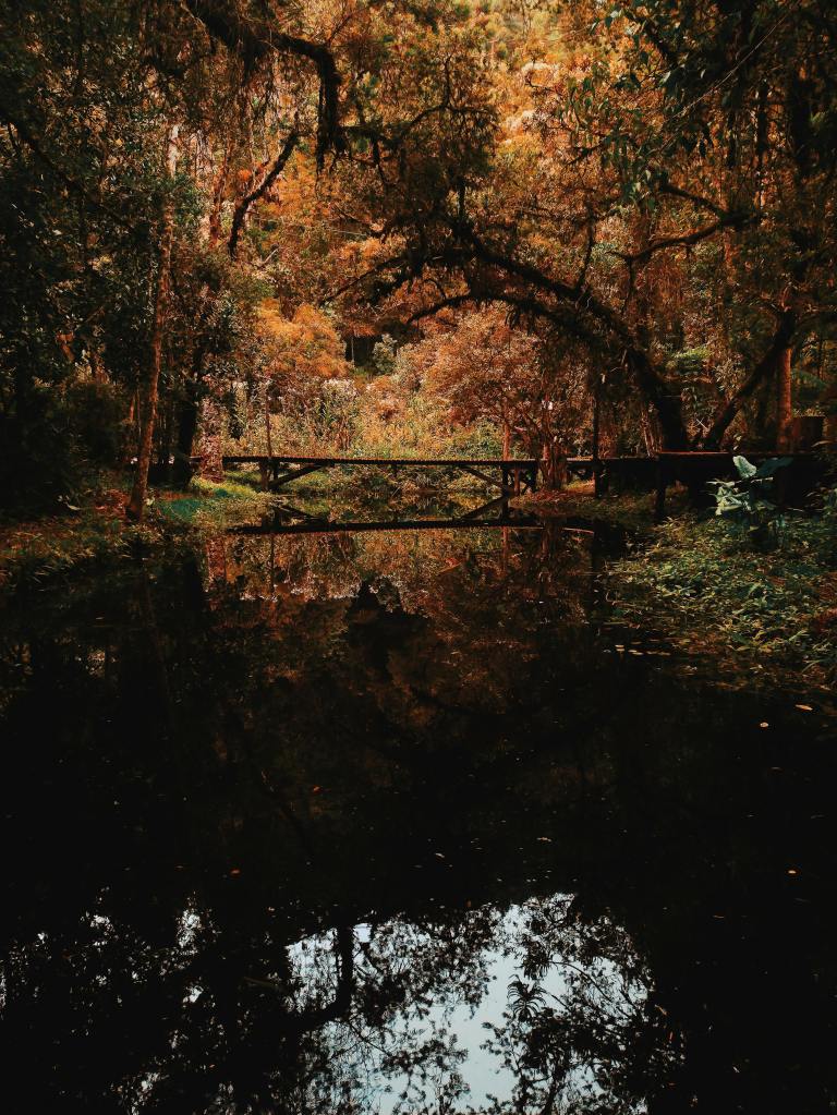 A serene forest scene in autumn with vibrant orange and yellow foliage reflected in a still pond, showcasing a wooden bridge in the background.