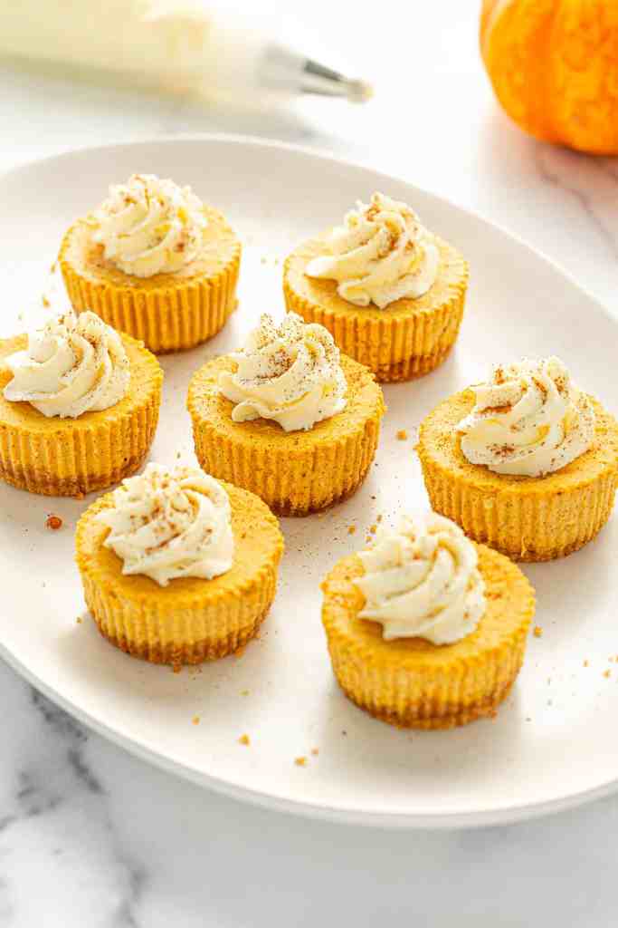 Mini pumpkin cheesecakes with whipped cream topping and a graham cracker crust, arranged on a white plate with a pumpkin in the background.