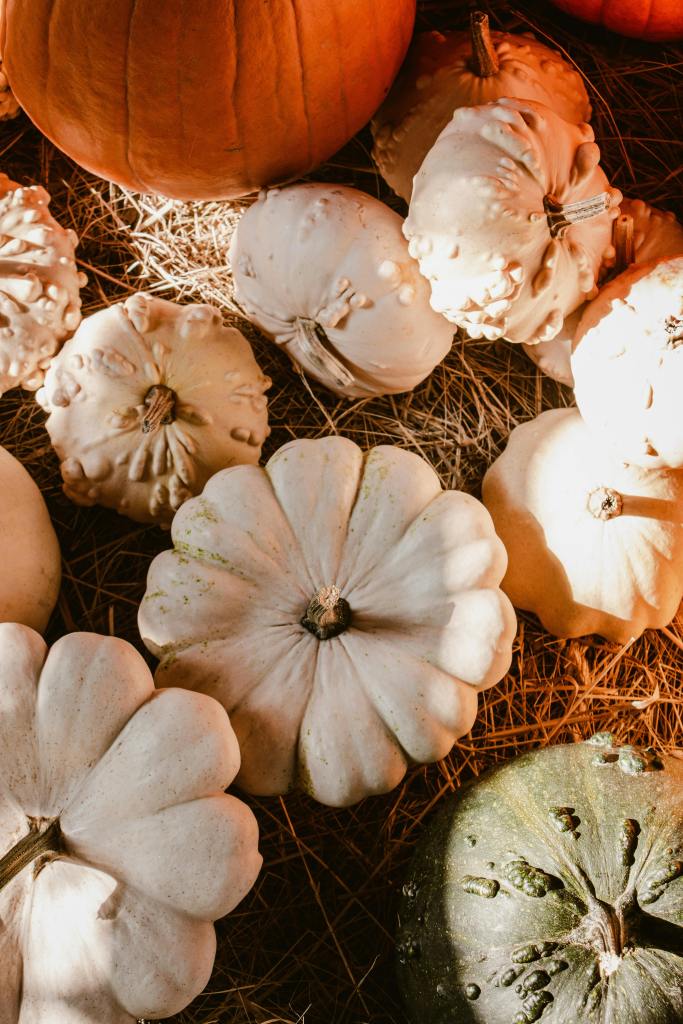 A variety of decorative pumpkins in different colors and textures arranged on straw, capturing the essence of fall.