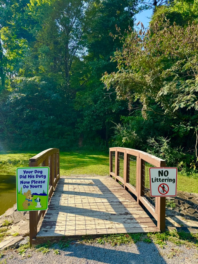 Wooden bridge beside the fishing pond at Jellystone Park Pigeon Forge