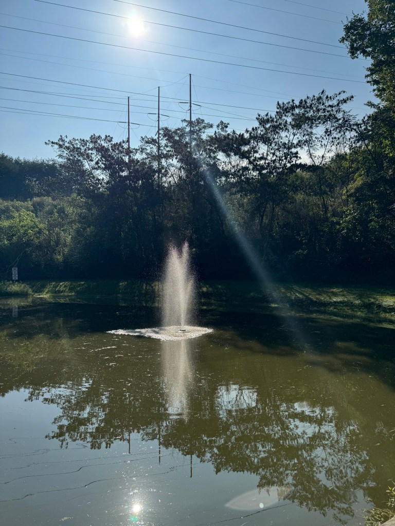 Fishing pond with fountain at Jellystone Park Pigeon Forge