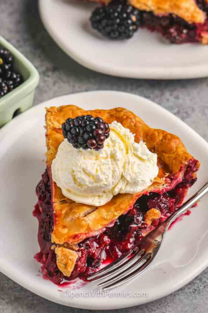 A slice of homemade blackberry pie topped with a dollop of whipped cream, served on a white plate with a fork.