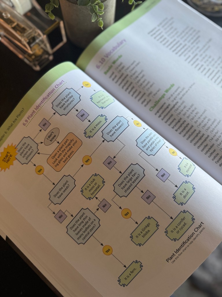 A page from the Real Science 4 Kids Book 7 featuring a Plant Identification Chart, with a flow diagram guiding students through plant classification. The page includes colorful text boxes and arrows, illustrating various plant features and leading to different plant categories.