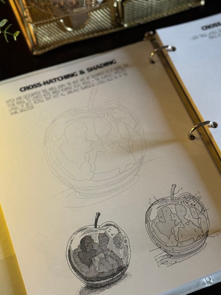 A close-up view of a page in an art binder featuring sketches of an apple, illustrating cross-hatching and shading techniques.