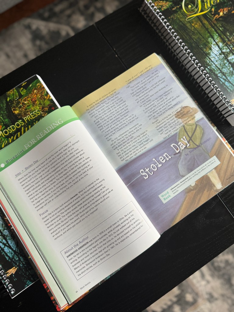 An open literature book showing a page titled 'Stolen Day', accompanied by reading strategies and a brief author biography.