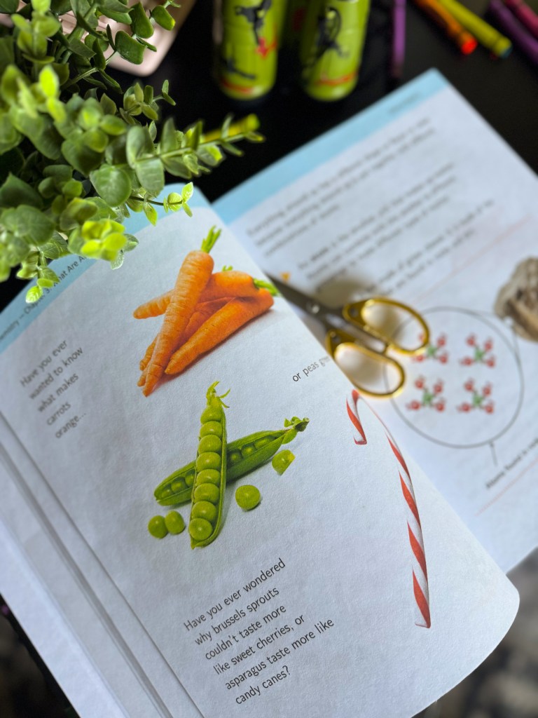 Homeschool chemistry lesson explaining atoms with familiar everyday examples