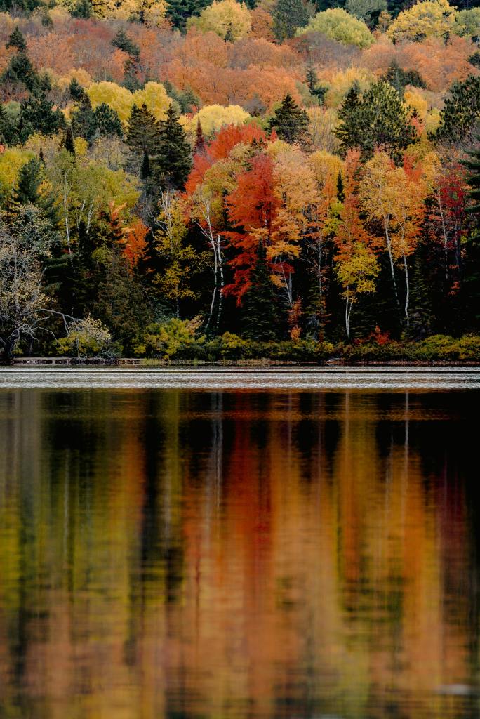 A vibrant autumn landscape featuring a variety of colorful trees displaying shades of orange, red, yellow, and green, reflected beautifully on a calm lake.