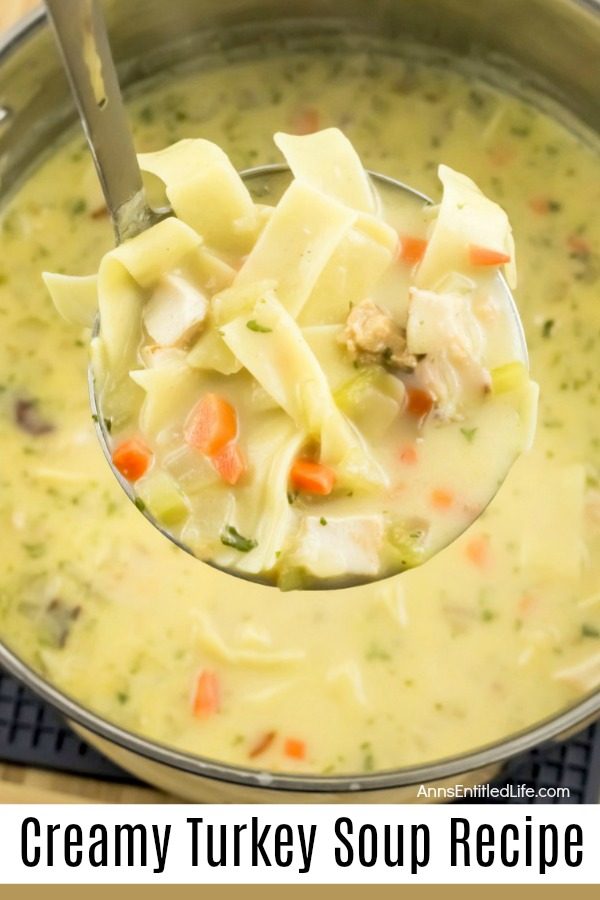 A bowl of creamy turkey soup filled with noodles, vegetables, and chunks of turkey, being served from a ladle.