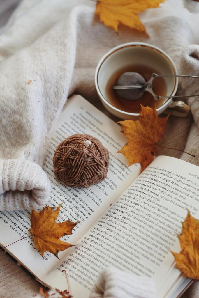 A cozy autumn scene featuring an open book on a soft, textured surface with a knitted item, a cup of tea, dried orange leaves, and a decorative ball.