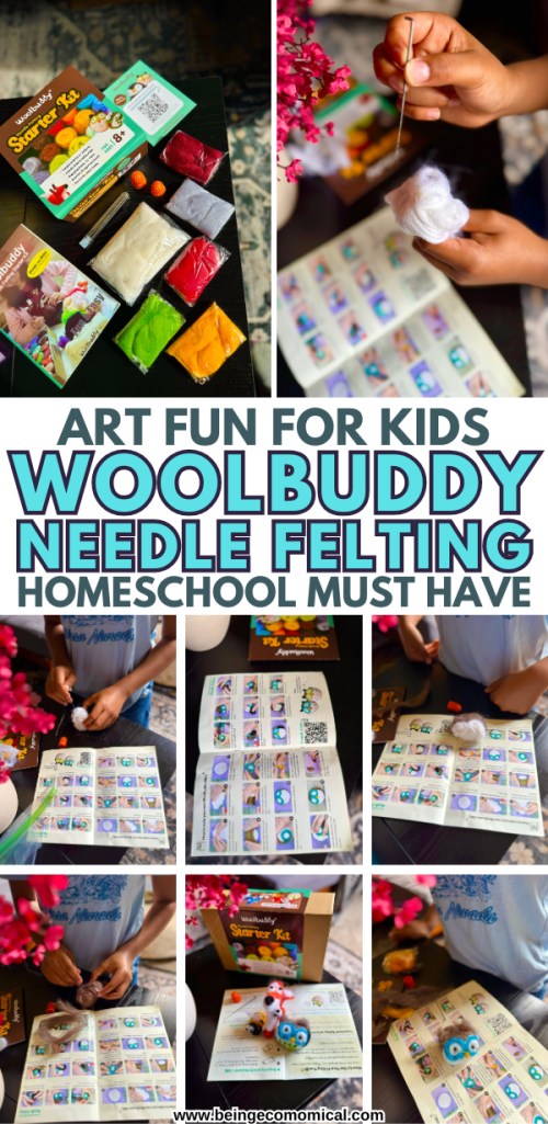 A vibrant Woolbuddy Needle Felting Starter Kit displayed alongside colorful wool roving and instructional booklet, showcasing the excitement and creative potential for kids.